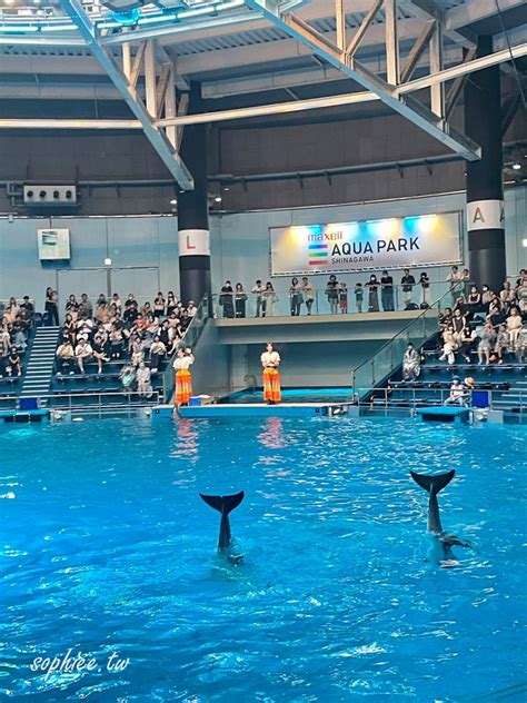 珊瑚盪娃|東京品川水族館｜室內水族館 Maxell Aqua Park ｜打卡熱門東京 